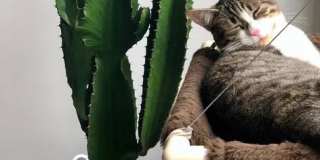 Savannah at North Dallas Gallery 6