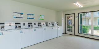 Forest Ridge Gallery 13