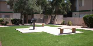 Georgetown Apartments Gallery 7