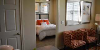 Oak Forest Gallery 6