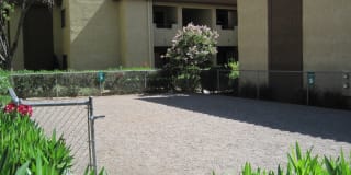 Summerhill Pointe Apartments Gallery 8