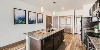 Volta at Voyager Gallery 10