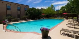 Timberwolf Gallery 8