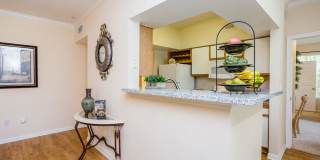 Stone Mist Gallery 12