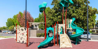 The Woodlands The Woodlands Gallery 24