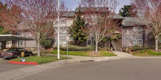 Stark Street Crossings Gallery 20