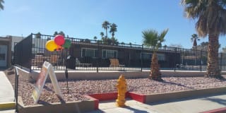 Mojave Breeze Gallery 32