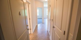 Davis Gardens Gallery 17