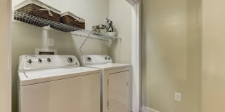 River Oaks Gallery 7