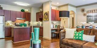 Eagle's Brooke Gallery 6