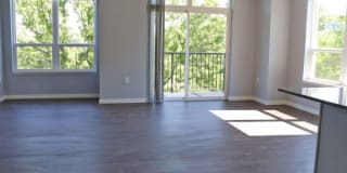 Trails Edge Gallery 44