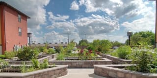 Senior Housing - Golden Bamboo III Senior Gallery 11