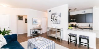 Luxe at Katy Gallery 22