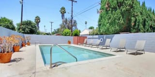 Nelk Manor Gallery 26