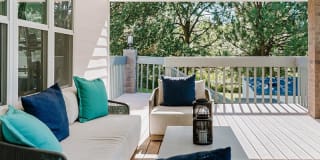 Kallisto at Bear Creek Gallery 6