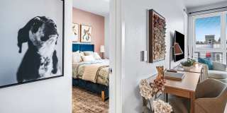 Owl Gallery 16