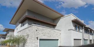 The Carson Gallery 41