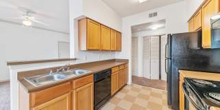 Constellation Ranch Gallery 1