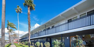 Aloha Apartments Gallery 19