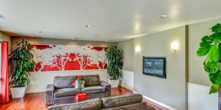 Summerwood Gallery 5
