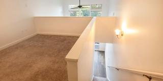 Summit Chalet Apartments Gallery 11