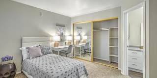 Desert Sage Gallery 12