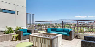 Agave 350 Gallery 43