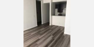 6510 La Mirada Ave Gallery 7