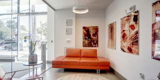 Tenley View Gallery 13