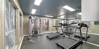 Flint at 290 Gallery 39