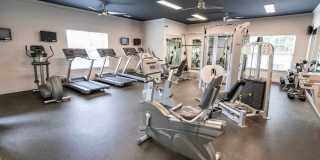 Legacy at Linden Park Gallery 17