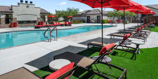 TerraLane on Cotton Gallery 9