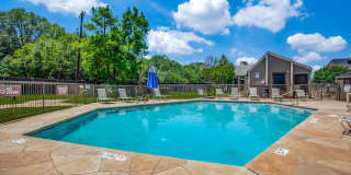 Serena Vista Gallery 19