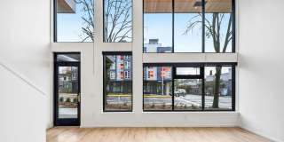Owl Gallery 22