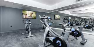 Bell Alderwood Gallery 25