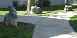 Linda Vista Village Gallery 5