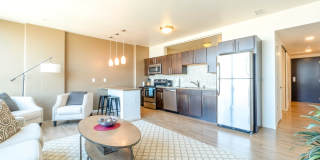 Ovation 309 Gallery 13