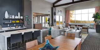 Sandpiper Gallery 16