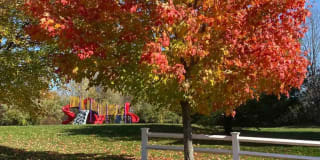 Eagles Landing Gallery 12