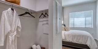 Agave 350 Gallery 13