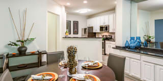 Vivant Woodholme Gallery 4