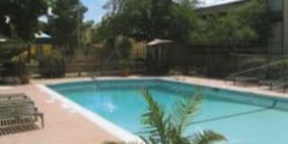 Timberwolf Gallery 3