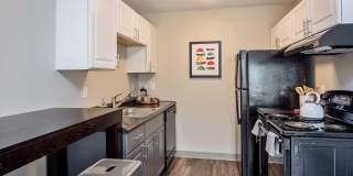 Student Housing - The Social at Stadium Walk Gallery 22