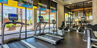 Agave 350 Gallery 33