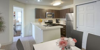 Bluesky Landing Apartments Gallery 4