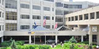 Roosevelt Plaza Gallery 15