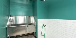 East of Eleven Gallery 24