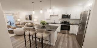 Contrast OTR Gallery 1