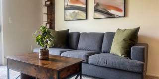 Lexington Manor Gallery 6