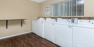 La Ventana Gallery 11